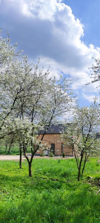 Górskie Progi Goworow Exterior foto